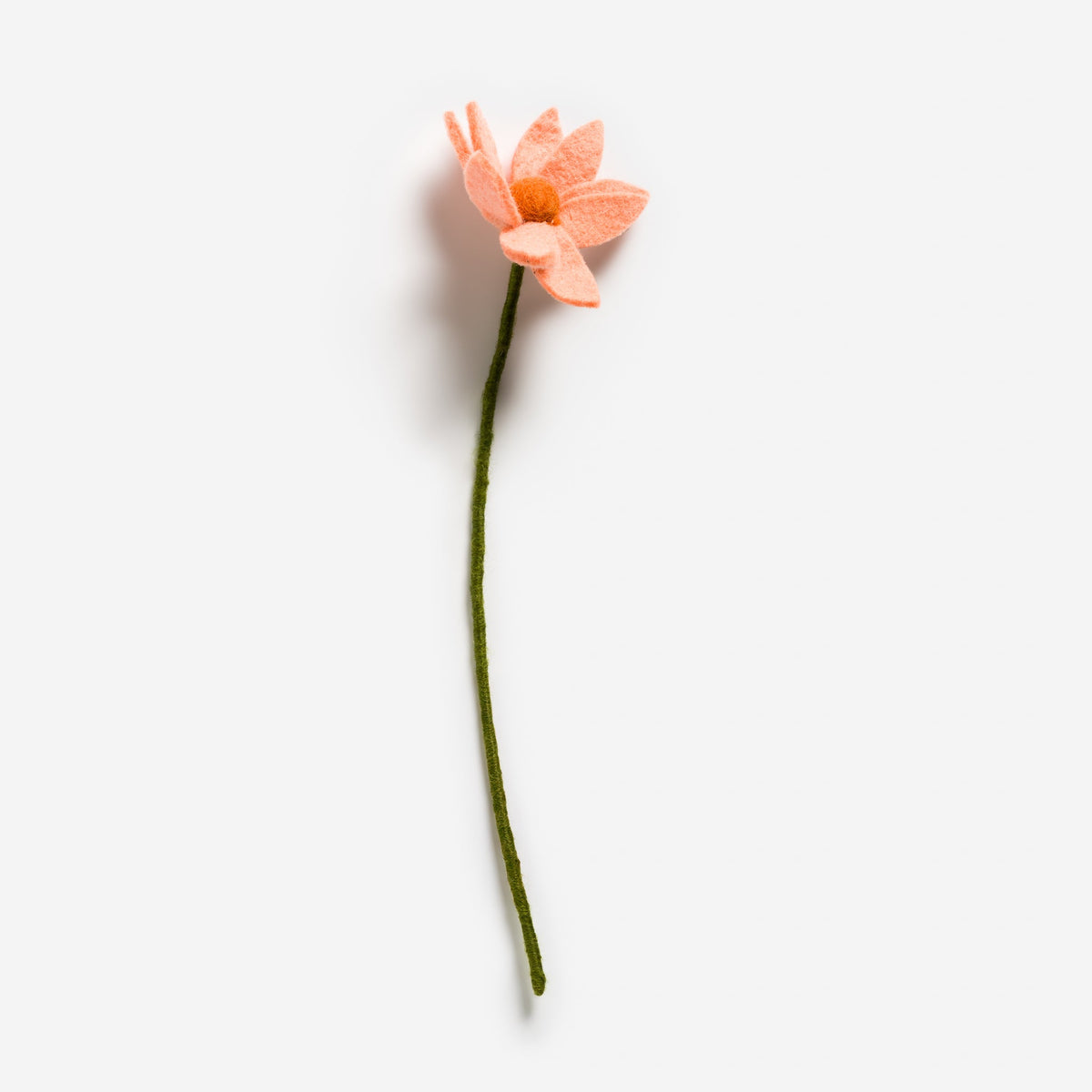 Cosmos Flower - Light Peach